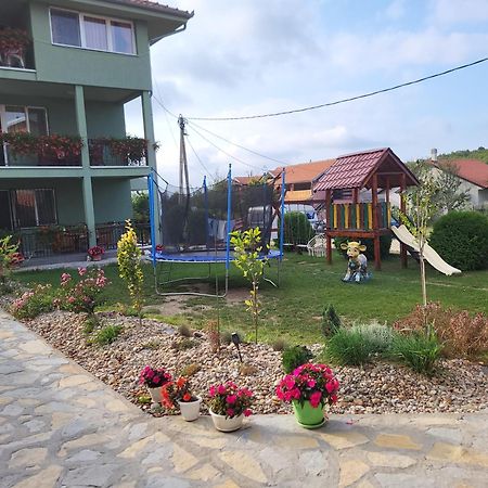 Apartment Pavlovic Soko Banja Εξωτερικό φωτογραφία