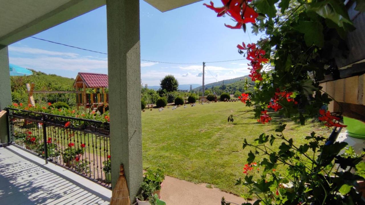 Apartment Pavlovic Soko Banja Εξωτερικό φωτογραφία