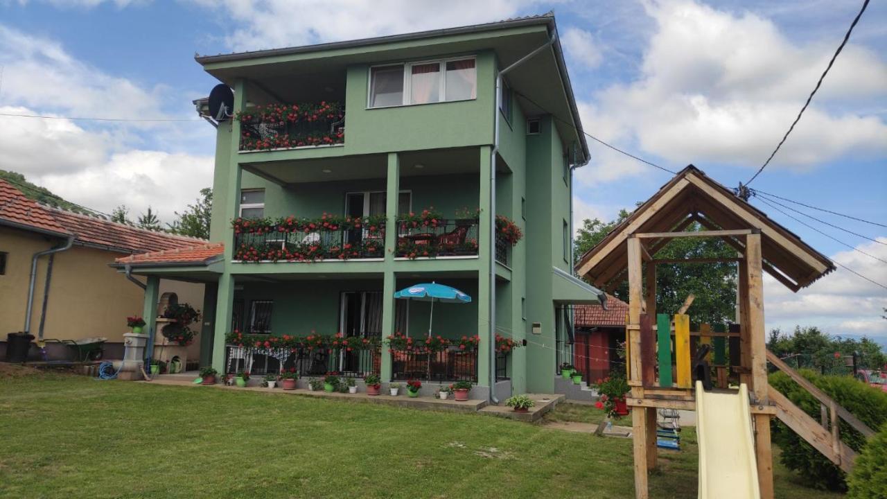 Apartment Pavlovic Soko Banja Εξωτερικό φωτογραφία