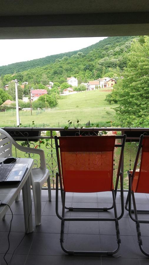 Apartment Pavlovic Soko Banja Εξωτερικό φωτογραφία