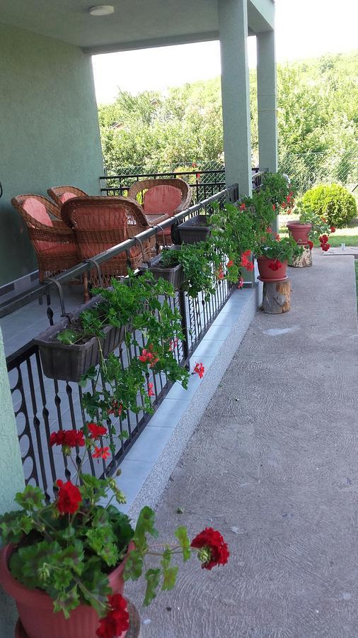 Apartment Pavlovic Soko Banja Εξωτερικό φωτογραφία
